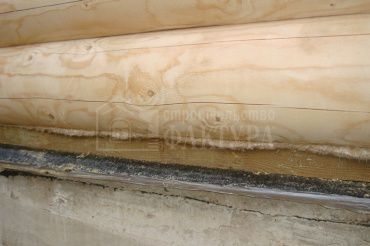 Фотоотчет отзыва, проект Чистые боры