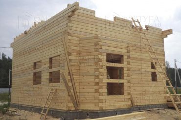 Фотоотчет отзыва, проект Полдневица