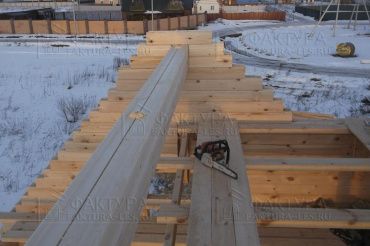 Фотоотчет отзыва, проект Зеленый бор