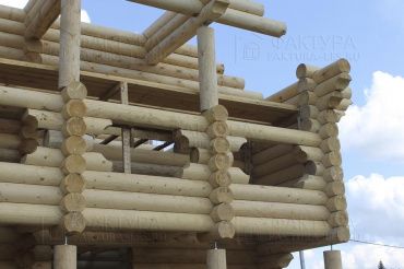 Фотоотчет отзыва, проект Бердино