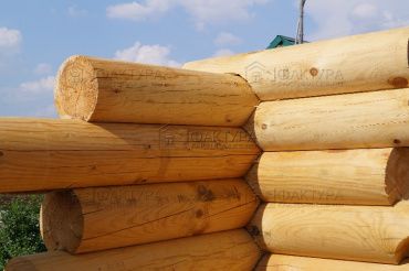 Фотоотчет отзыва, проект Крутец