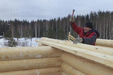 Фотоотчет отзыва, проект Денисово