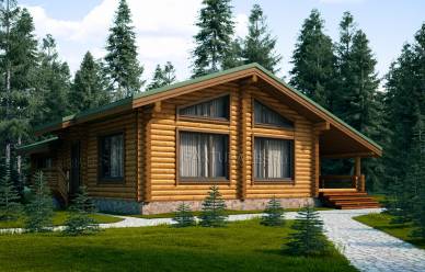 Проект дома из бревна Никитино