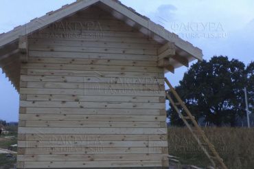 Фотоотчет отзыва, проект Полдневица